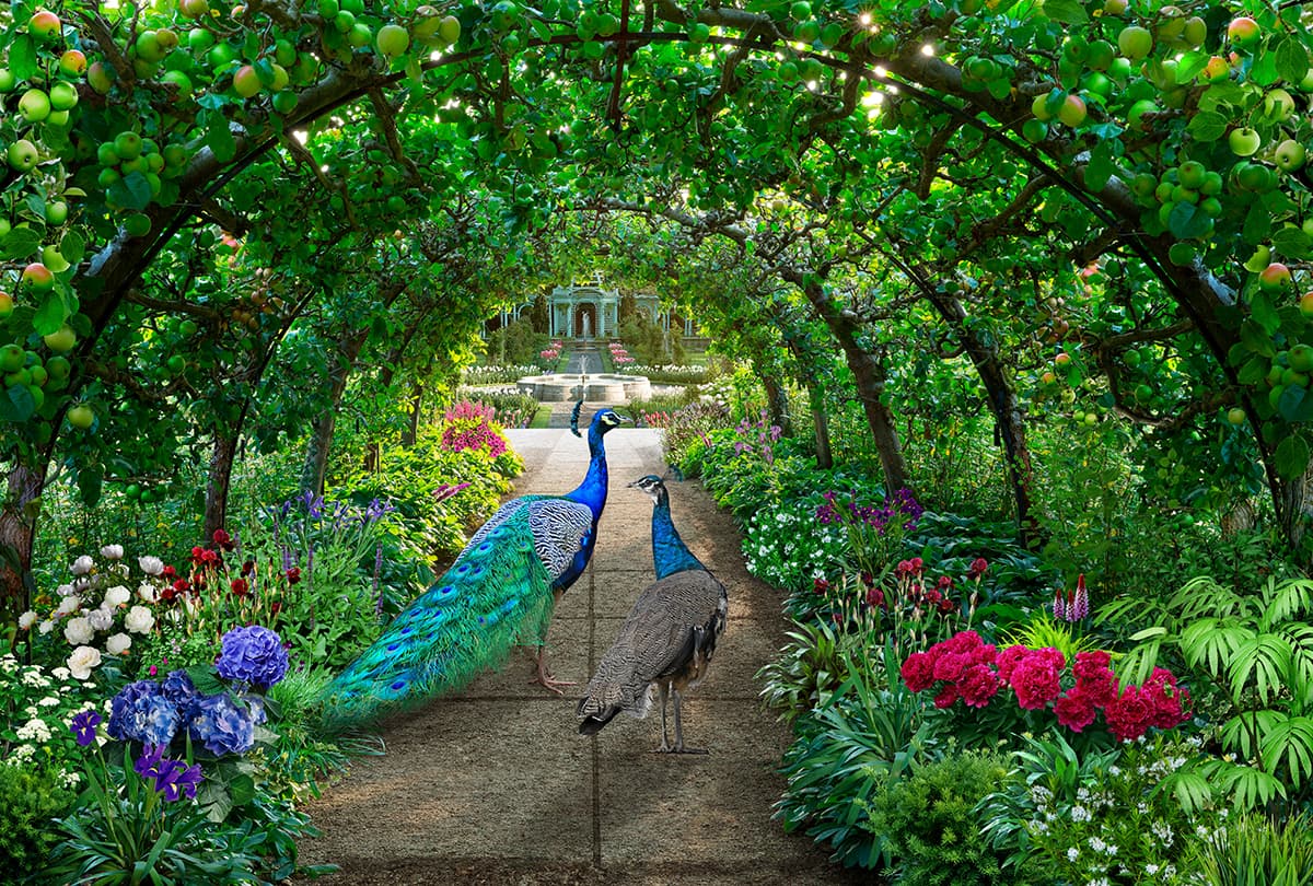 Peacock in Garden Wallpaper pattern detail