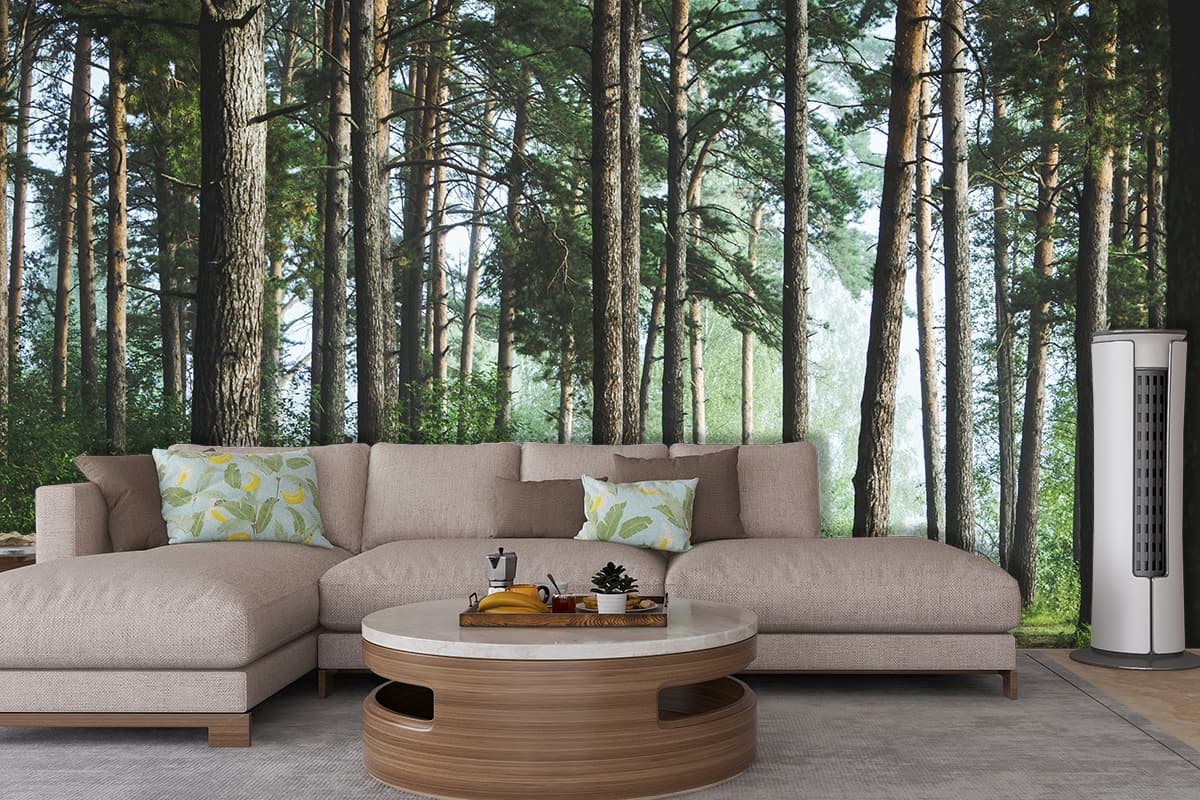 Forest Path Scenic Nature Trail Wall Mural Wallpaper shown in a room