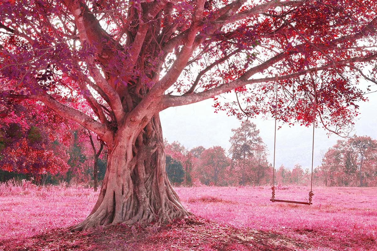 Minimal Tree with Swing Aesthetic Landscape Wallpaper pattern detail