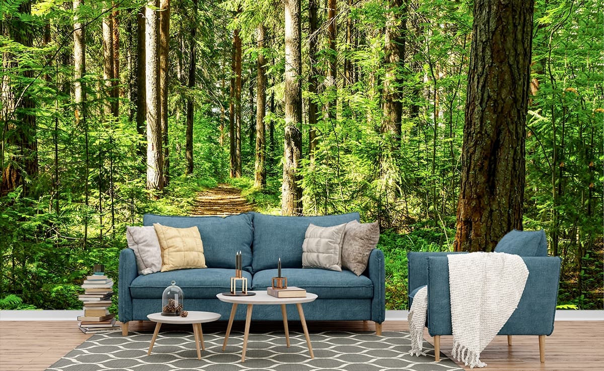 Scenic Forest Path Nature Wallpaper shown in a room