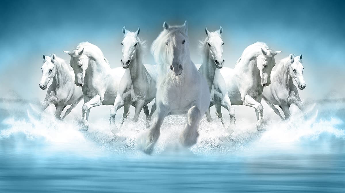 7 White Horses Wallpaper Running Through Water pattern detail