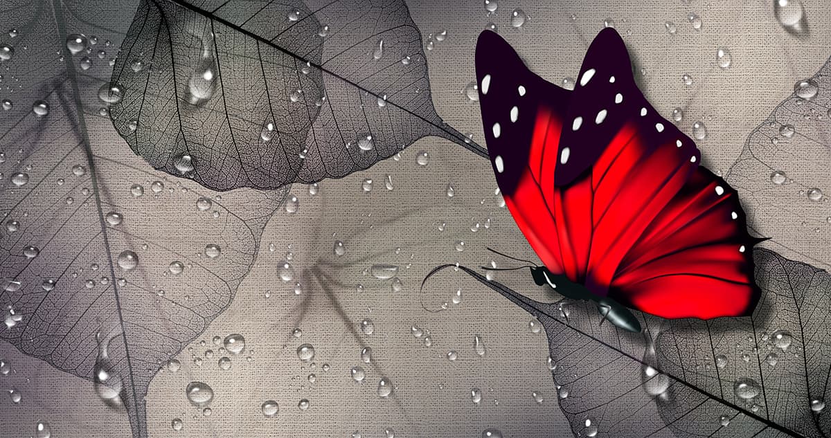 Modern Gray Leaf Art with Shiny Water Drops Wallpaper pattern detail