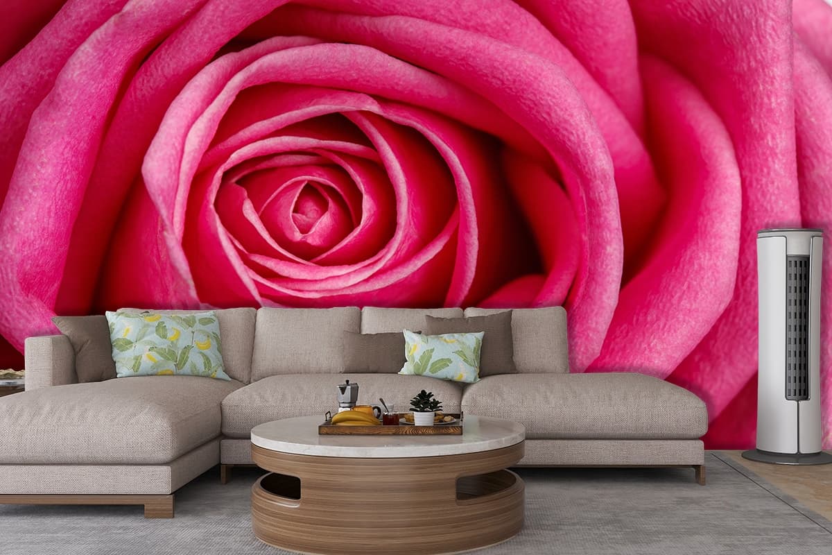 Pink Rose Wallpaper for Home shown in a room