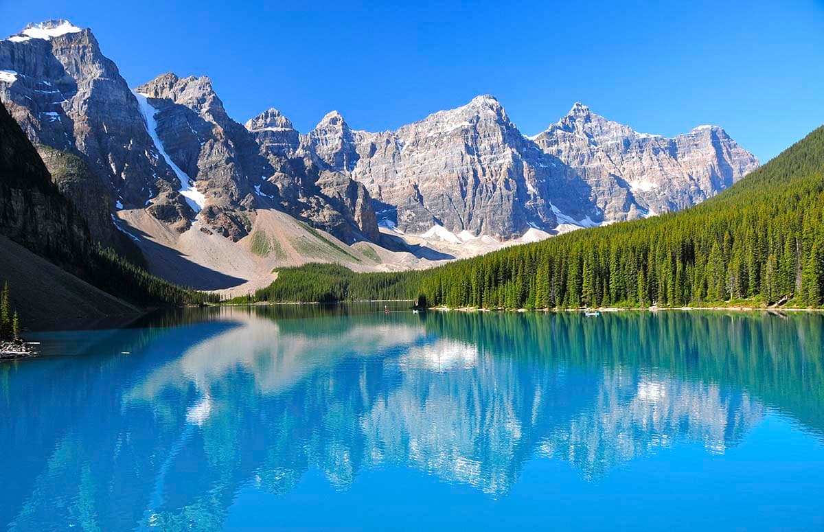 Rocky Mountains, Forest Wallpaper for Walls pattern detail
