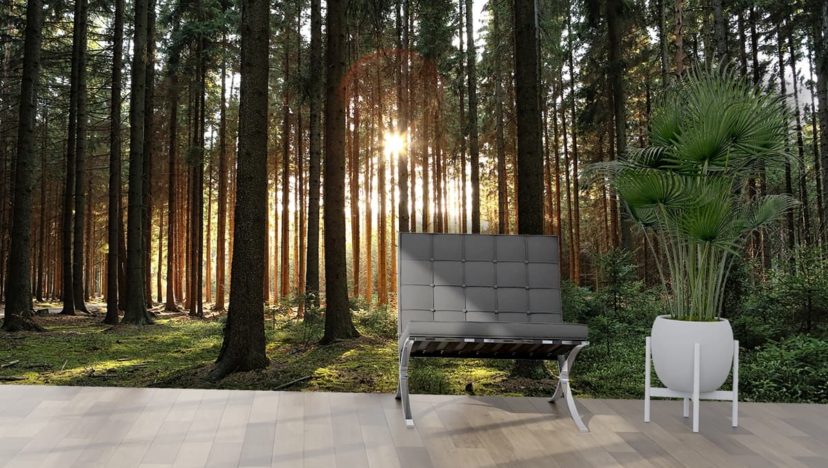 Dreamy Sunlight Forest Landscape Wallpaper shown in a room