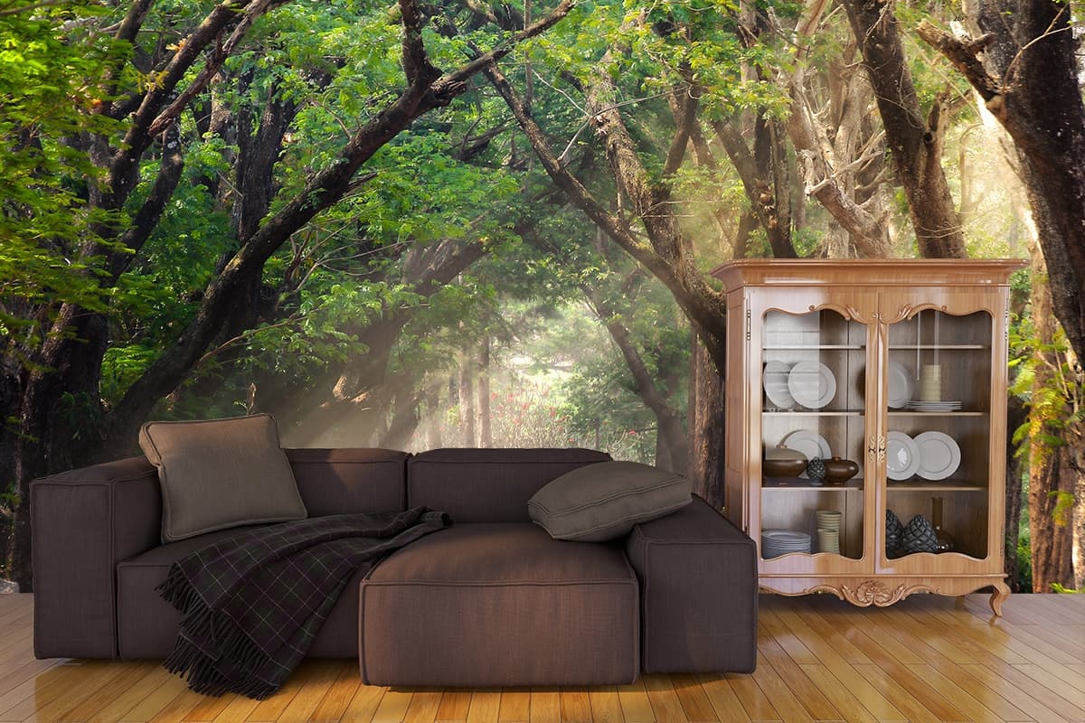 A road with trees and sun rays shown in a room