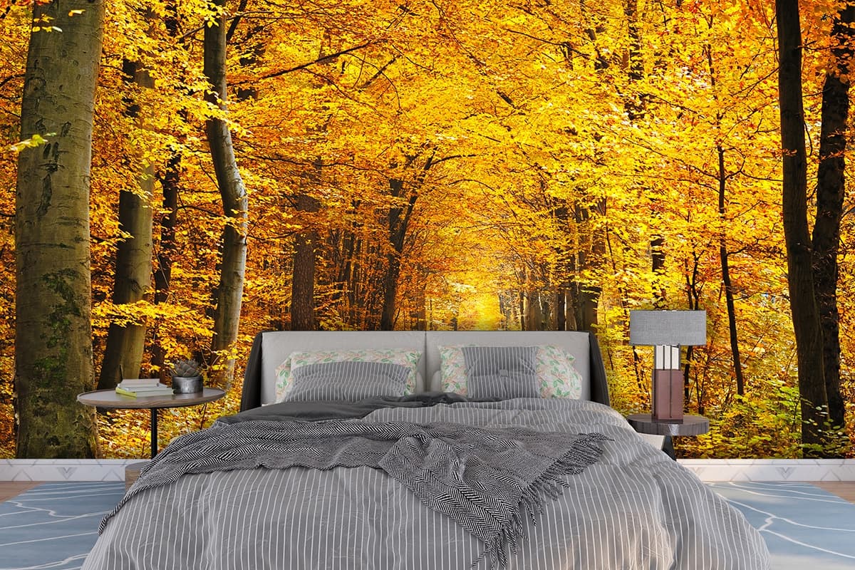 Living Room Wallpaper - Path with yellow leaves on it shown in a room