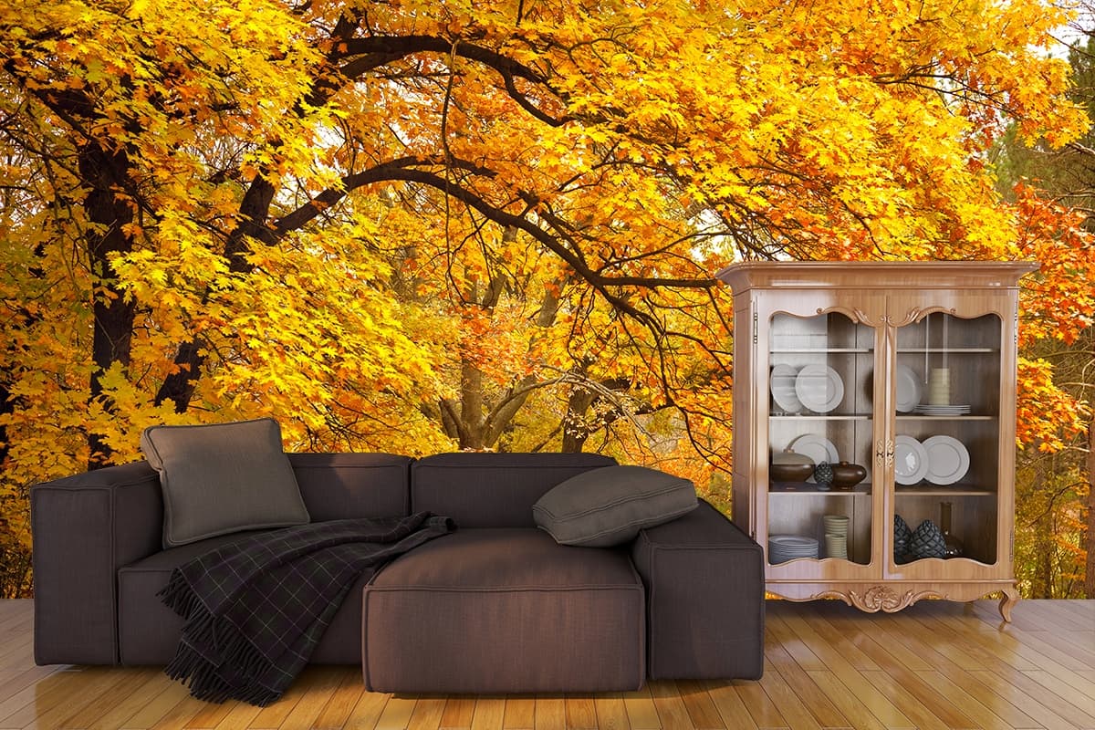 Autumn Glow Grove: Trees with Yellow Leaves Wallpaper shown in a room