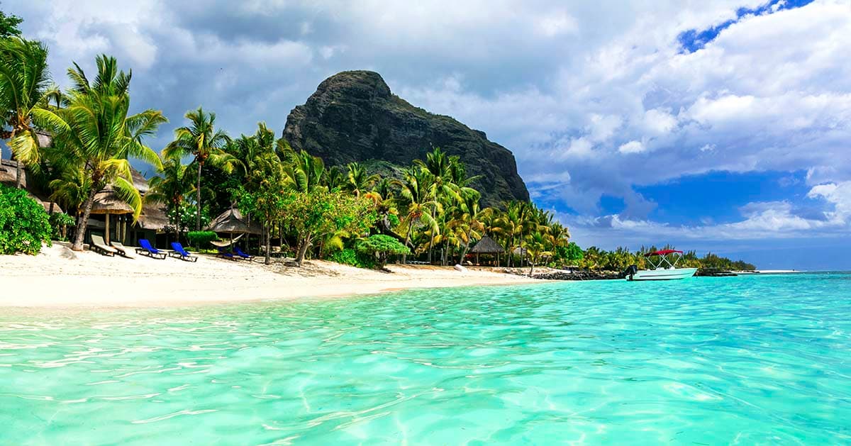 Beach with Palm Trees and Mountain Scenic Nature Wallpaper pattern detail