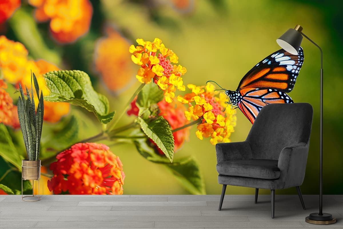 Beautiful Butterfly and Flower Wallpaper for Home shown in a room