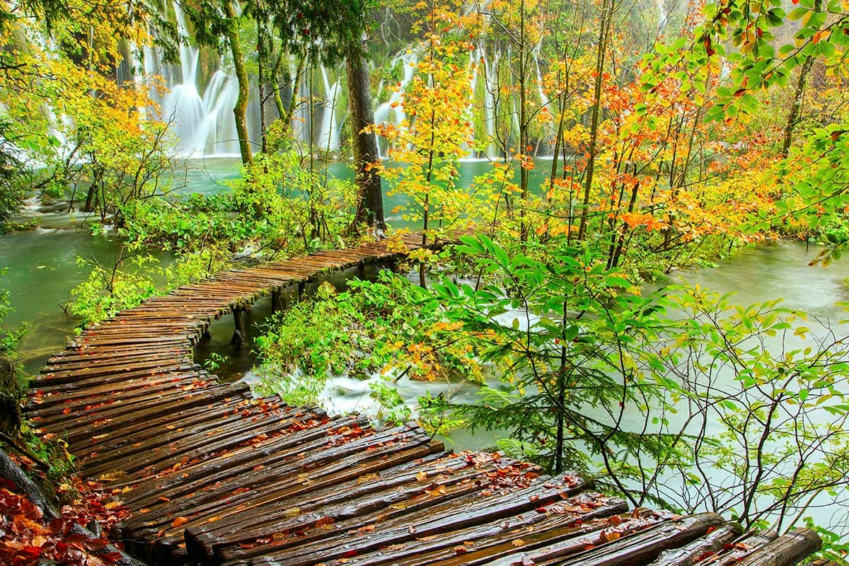 Wooden bridge over water with trees and falls wallpaper pattern detail