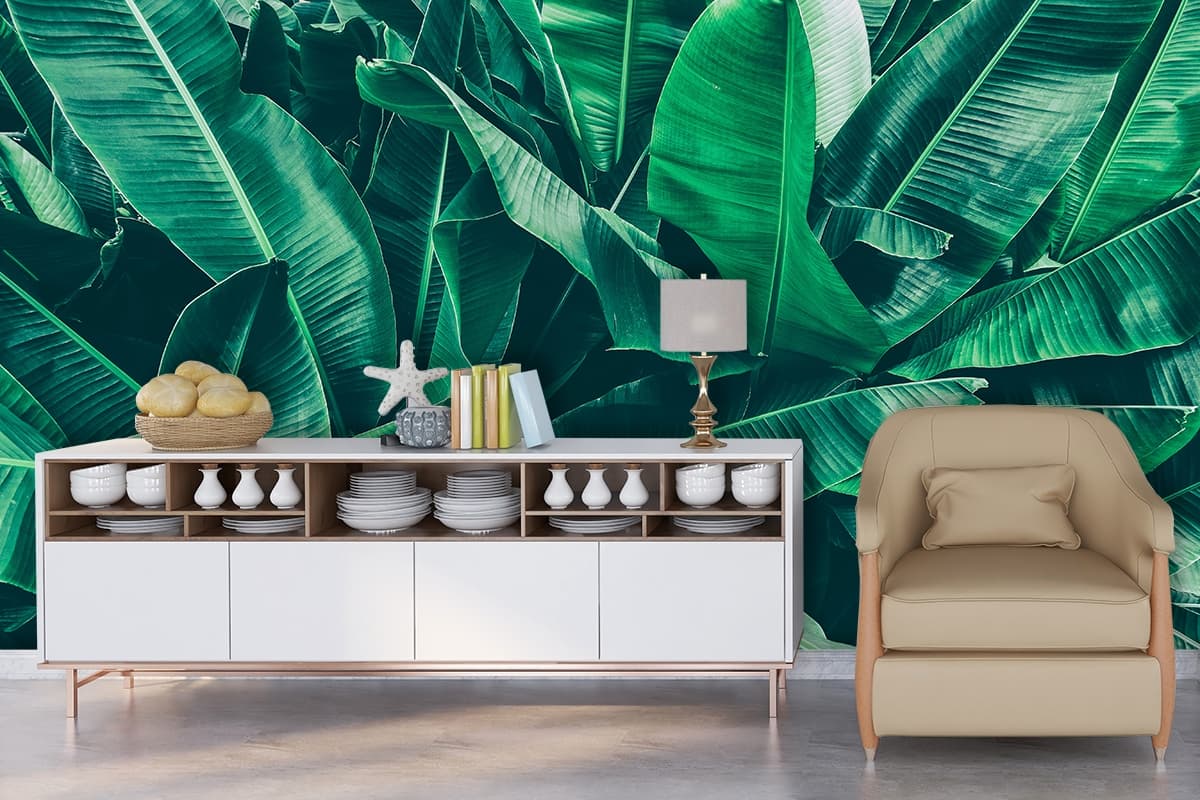 A large green leaves shown in a room