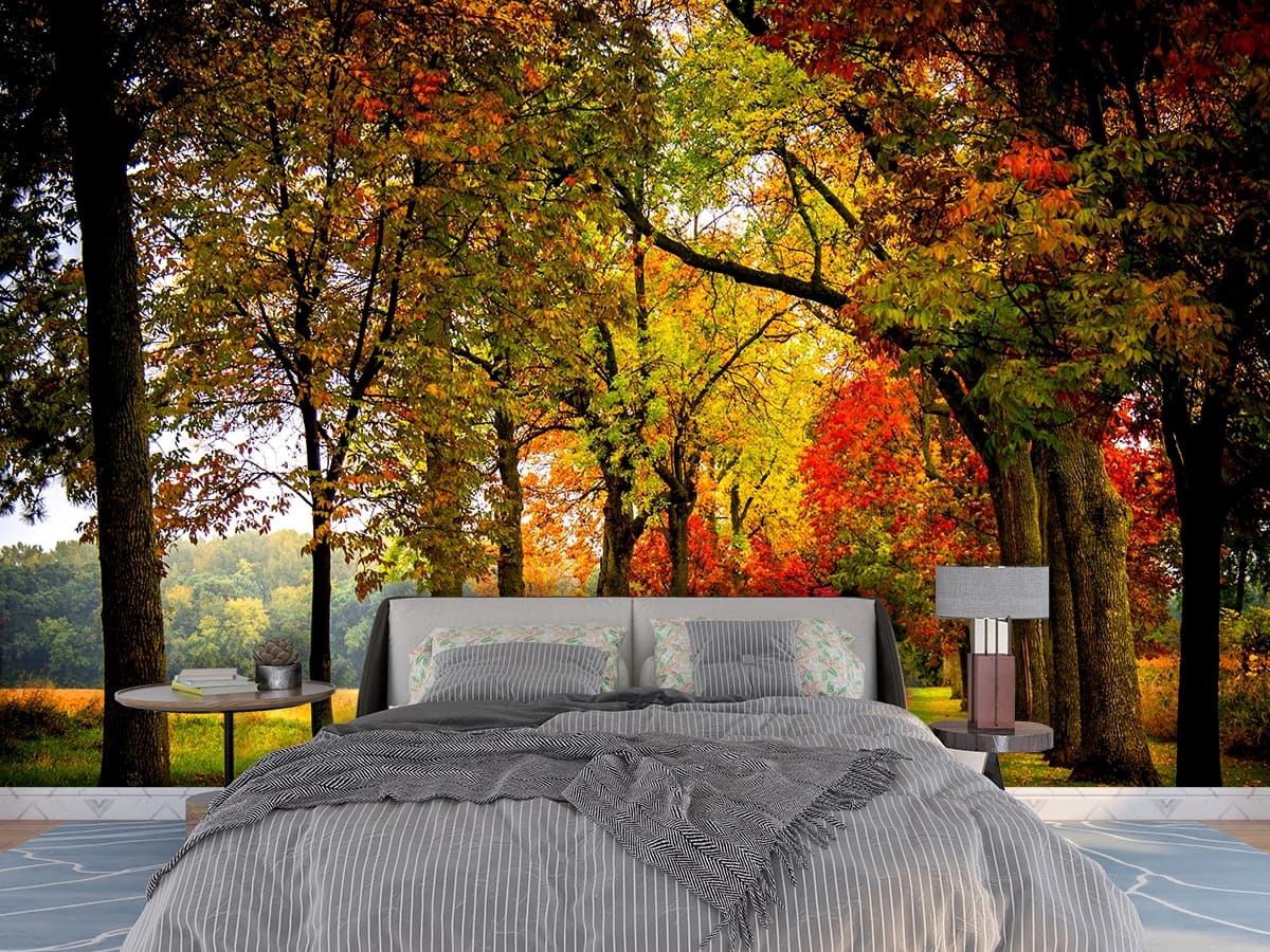 Elegant Nature Drive Mountain Landscape Wallpaper shown in a room