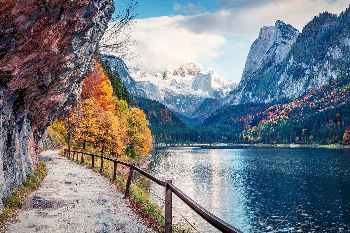 Scenic Pathway Beside Lake Nature Wall Mural Wallpaper pattern detail