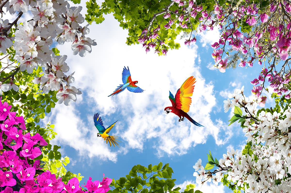Birds Flying in the Sky Ceiling Wallpaper pattern detail