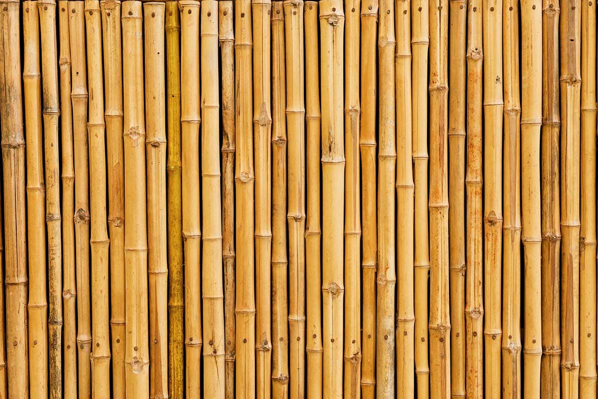 A 3D Wallpaper Mural Effect Realistic Bamboo Sticks pattern detail