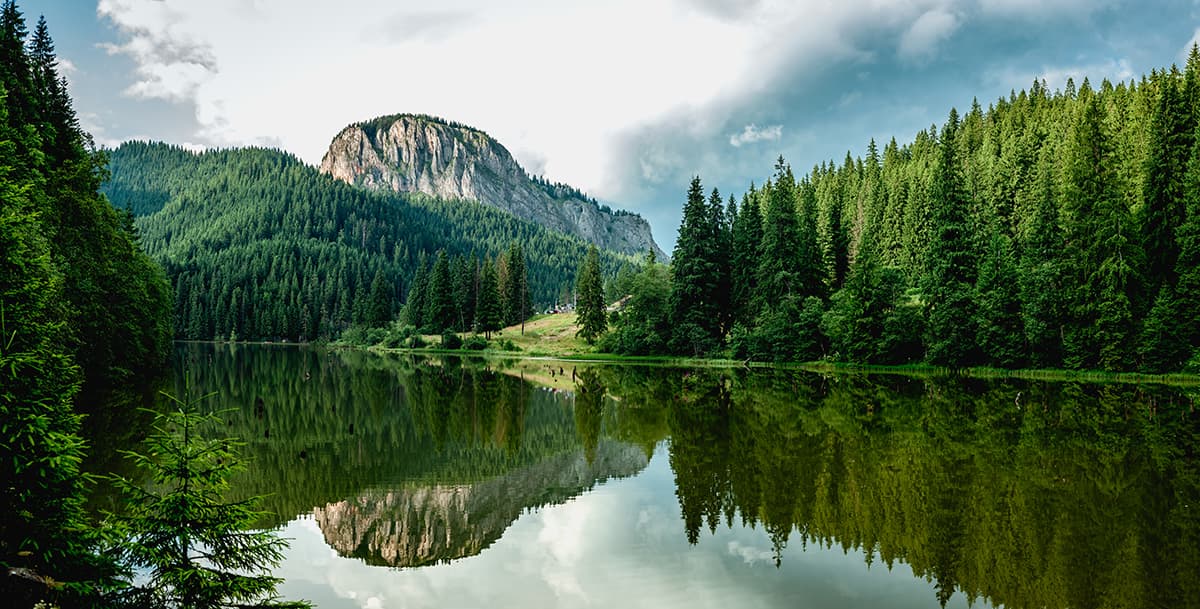 Serene Lake and Mountain, Forest Wallpaper for Walls pattern detail
