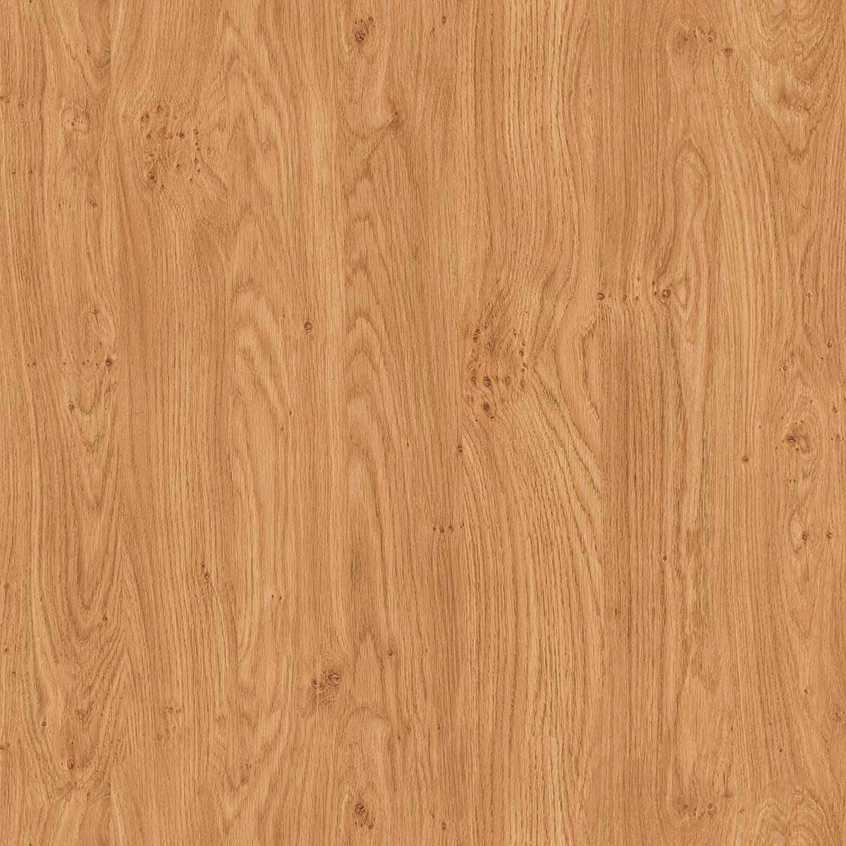 Natural Oak Wood Texture Wallpaper pattern detail