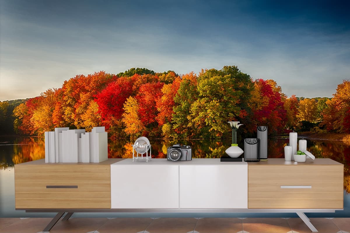 A group of trees with different colored leaves on the water shown in a room