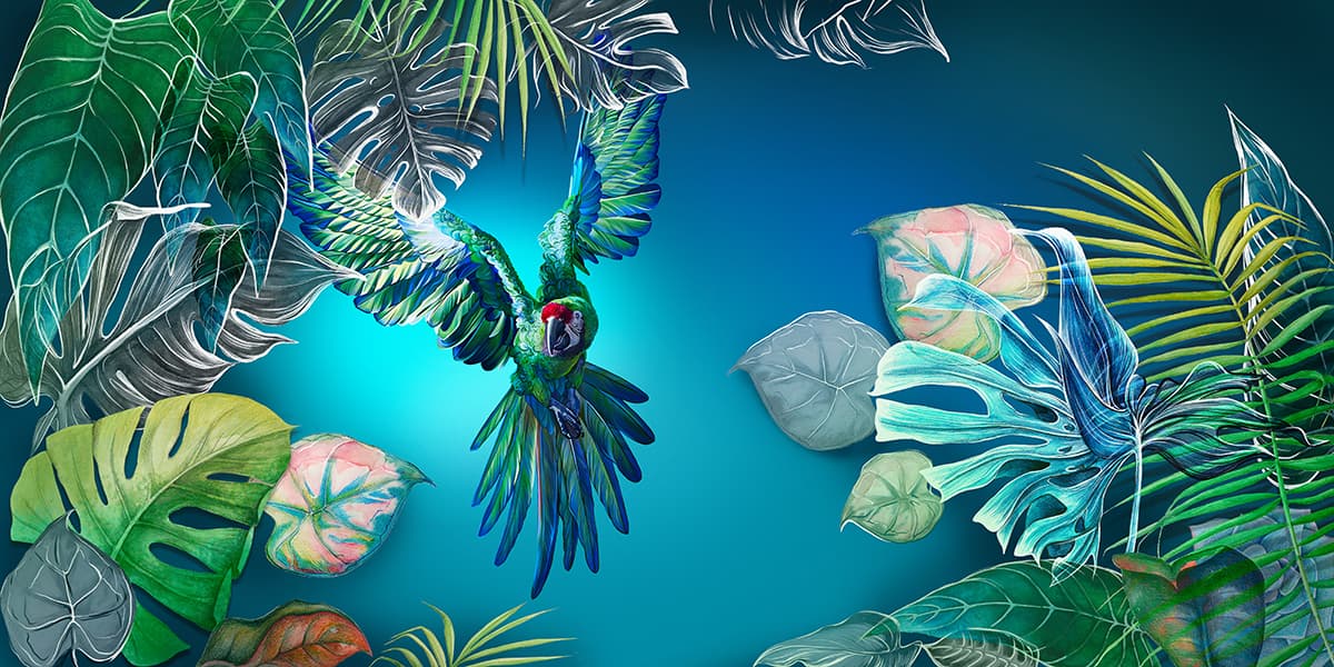 A bird flying in the air pattern detail