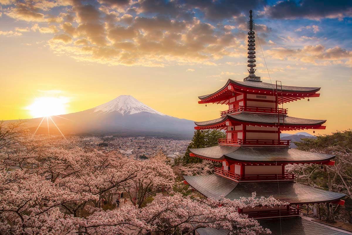 Elegant Sunrise Over Fuji Interior Wall Wallpaper pattern detail