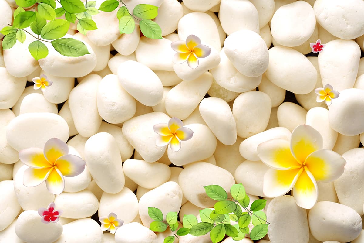 A group of white rocks with flowers and leaves pattern detail