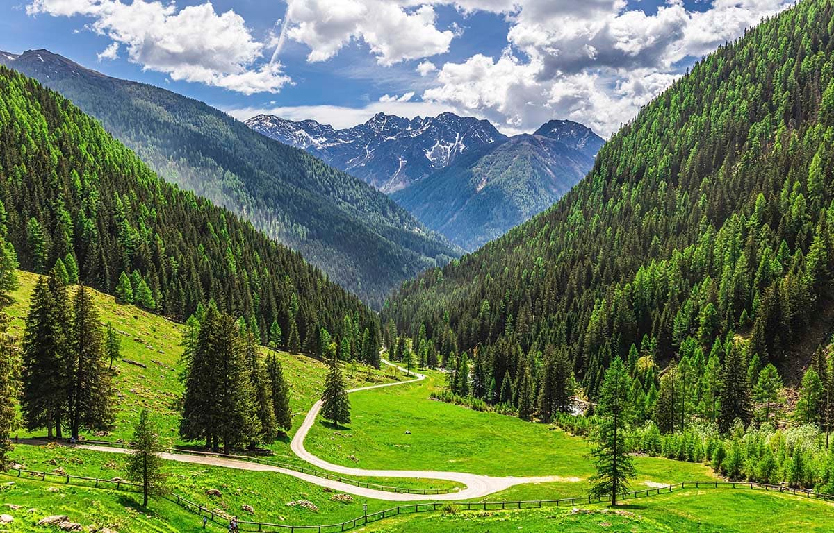 Nature Inspired Valley Road Mountain Scene wallpaper pattern detail