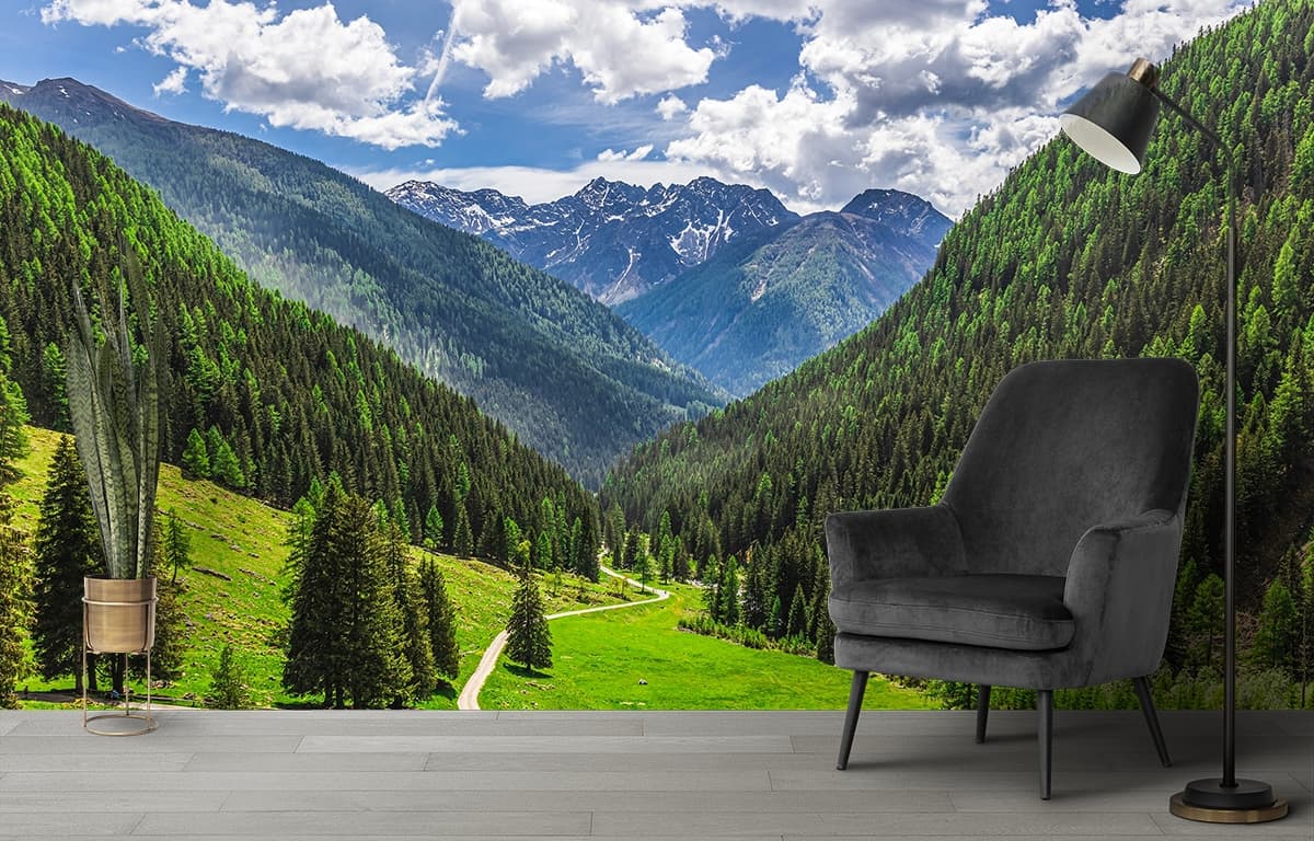 Nature Inspired Valley Road Mountain Scene wallpaper shown in a room