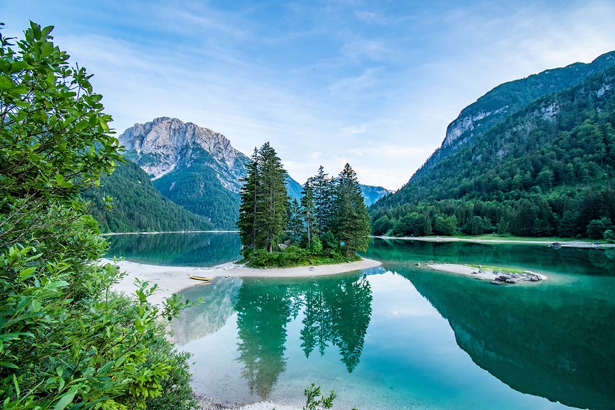 Nature Island Trees Lake View Landscape Wallpaper pattern detail