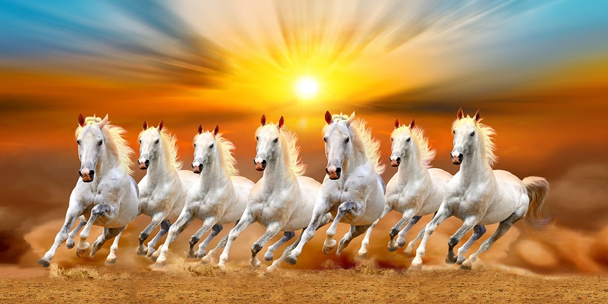 7 White Horse Wallpaper Mural pattern detail