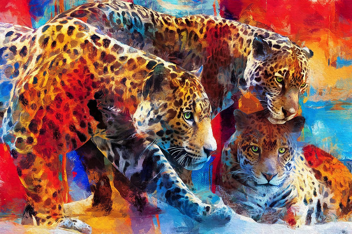 A group of leopards with different colors pattern detail
