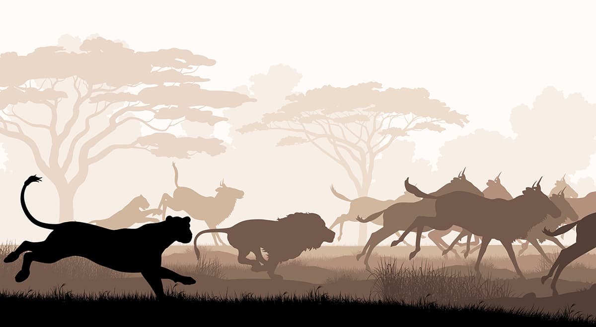 Wild Running Animals Cartoon Safari Kids Room Wallpaper pattern detail