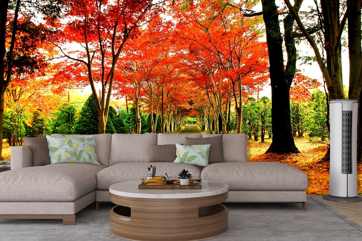 Woodland Way Wanderlust Wallpaper for Home shown in a room