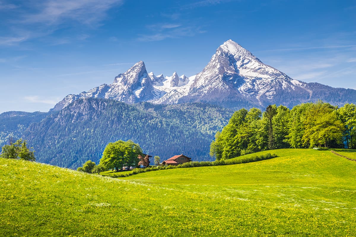 Mountain Scenery Wallpaper for Walls pattern detail