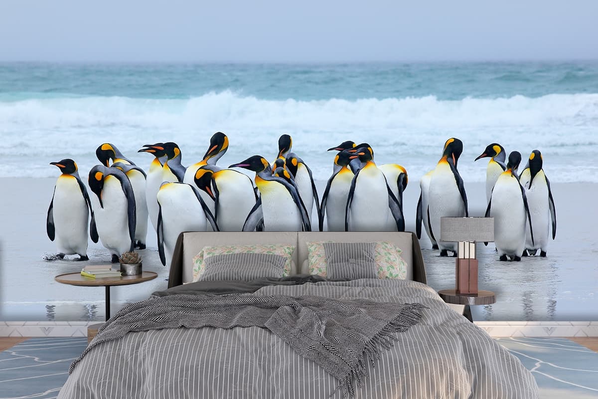 Penguins on Beach Wildlife Coastal Scene wallpaper shown in a room