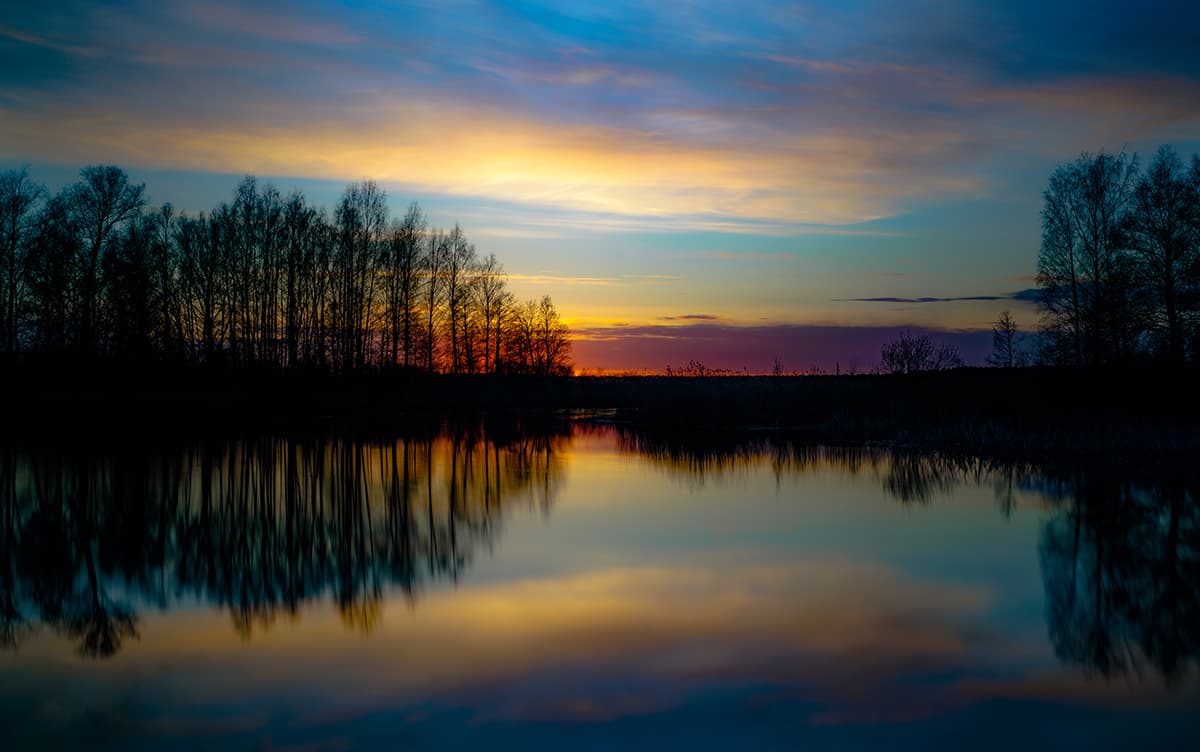 Golden sunset over water with trees in calm view wallpaper pattern detail