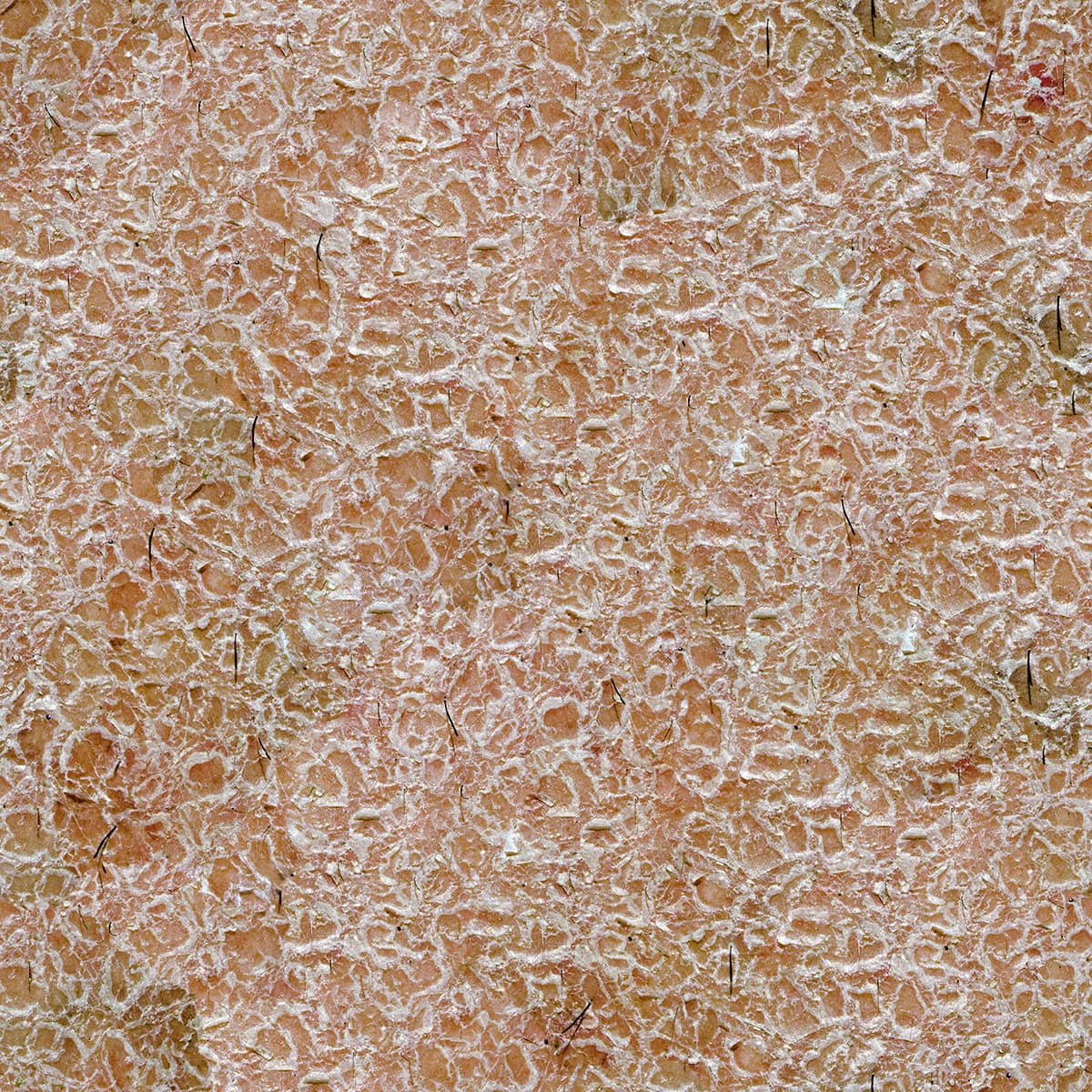 Textured Surface Wallpaper for Wall pattern detail
