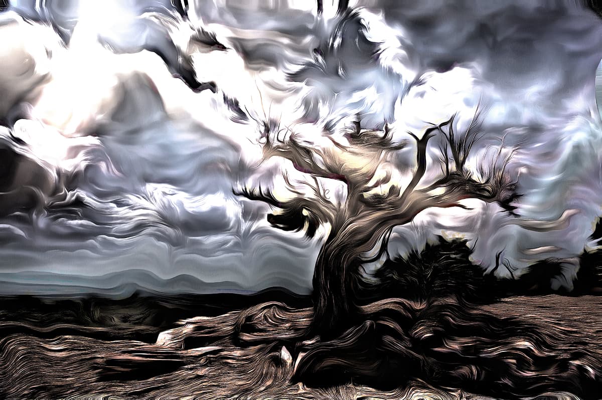A tree with a cloudy sky pattern detail