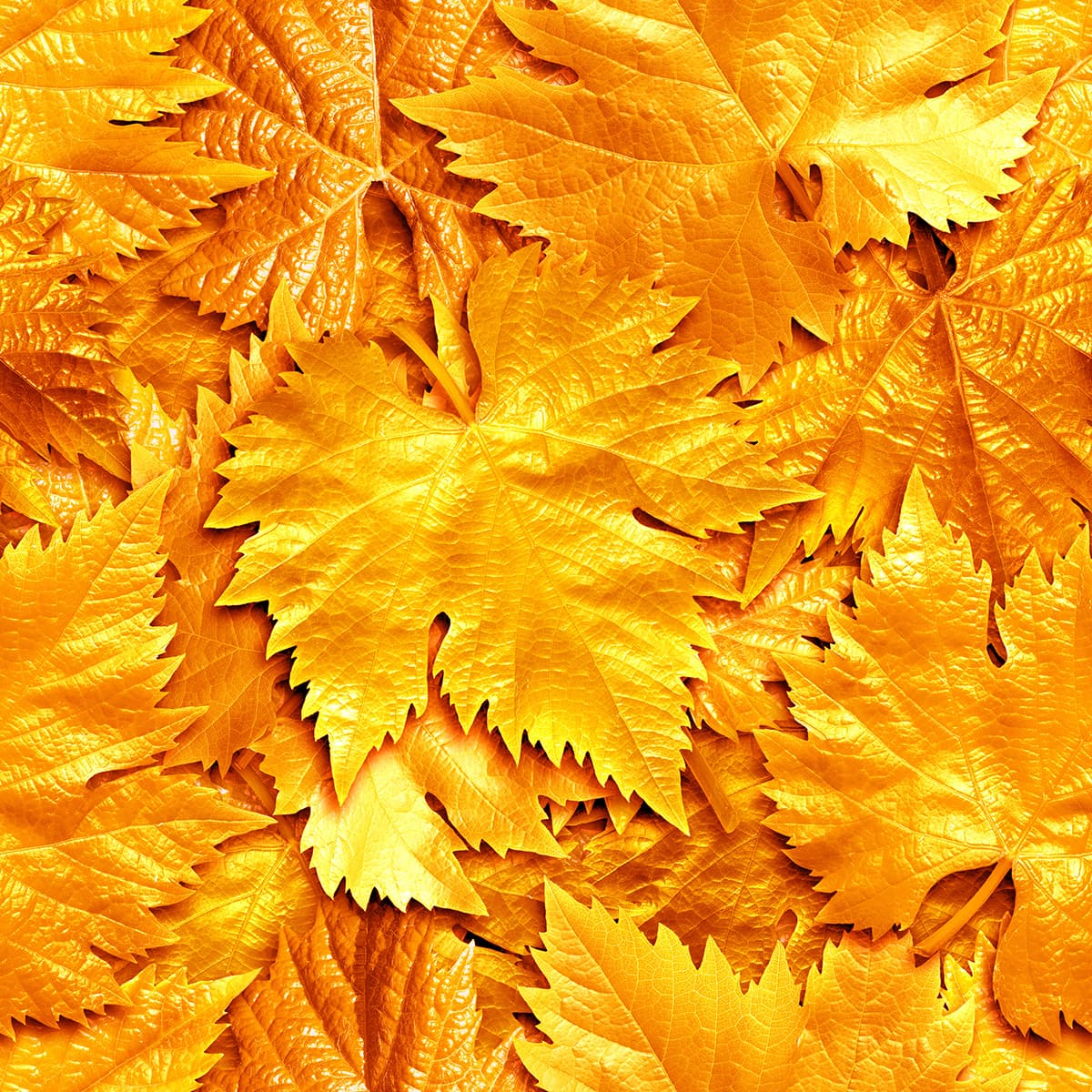 A pile of yellow leaves pattern detail