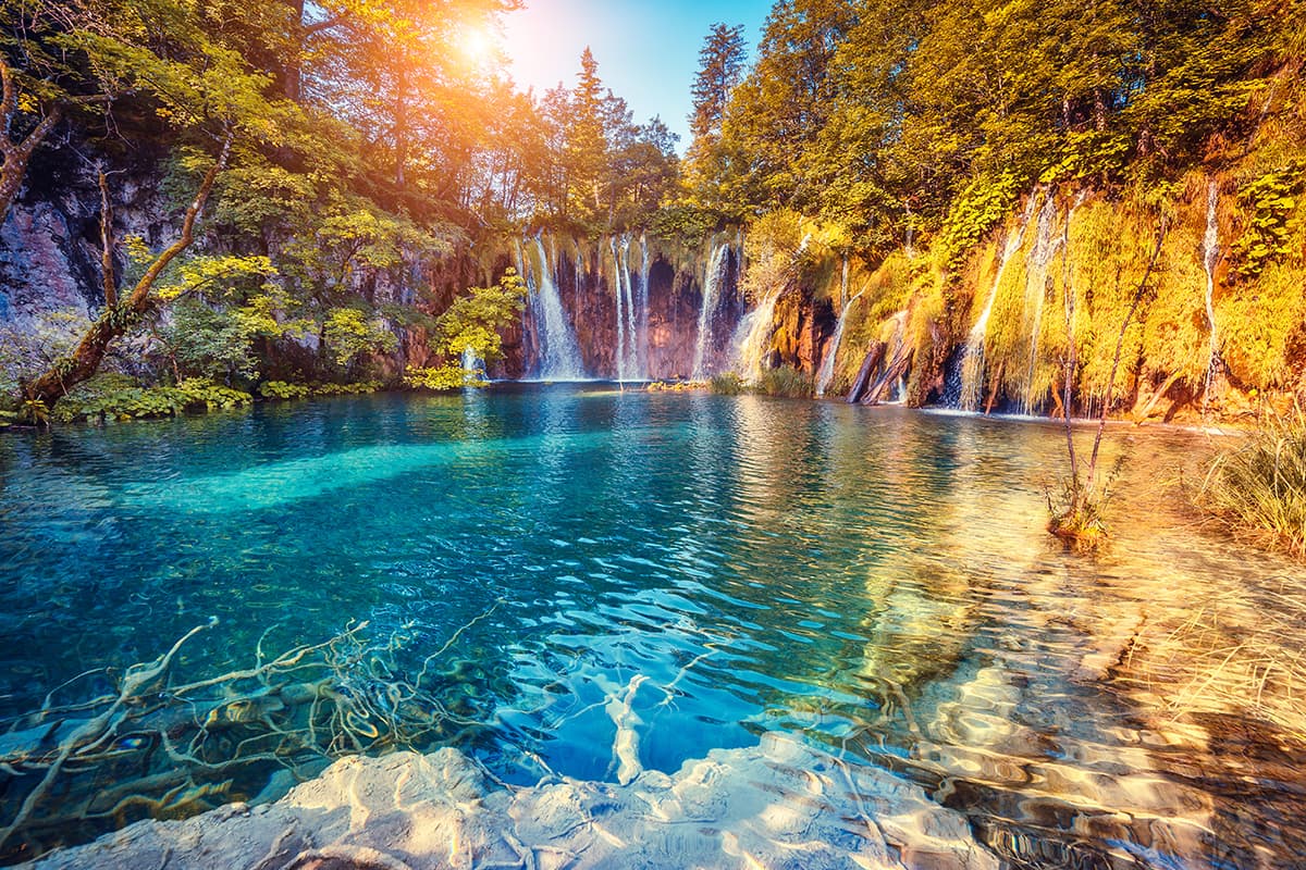 Waterfall in a Forest Serene Nature View Wallpaper pattern detail