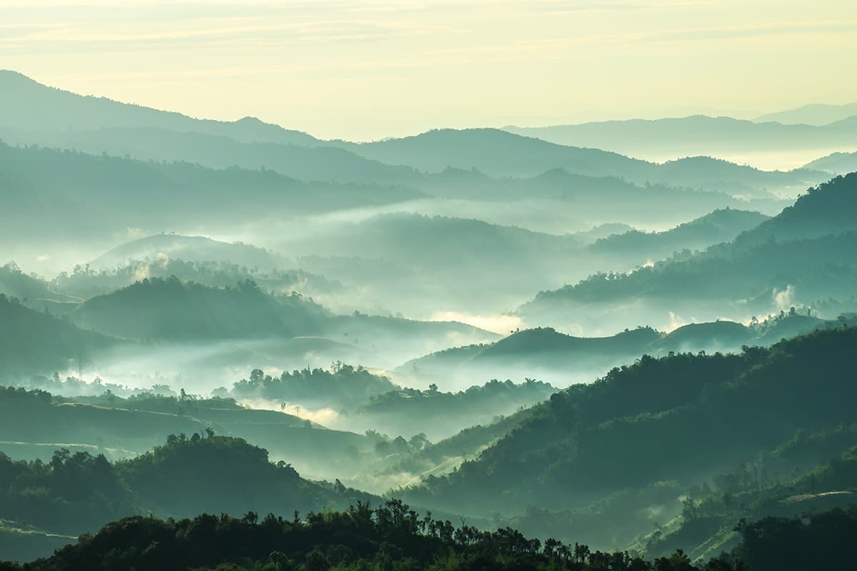 Nature Hills with Fog for Elegant Home Walls Wallpaper pattern detail