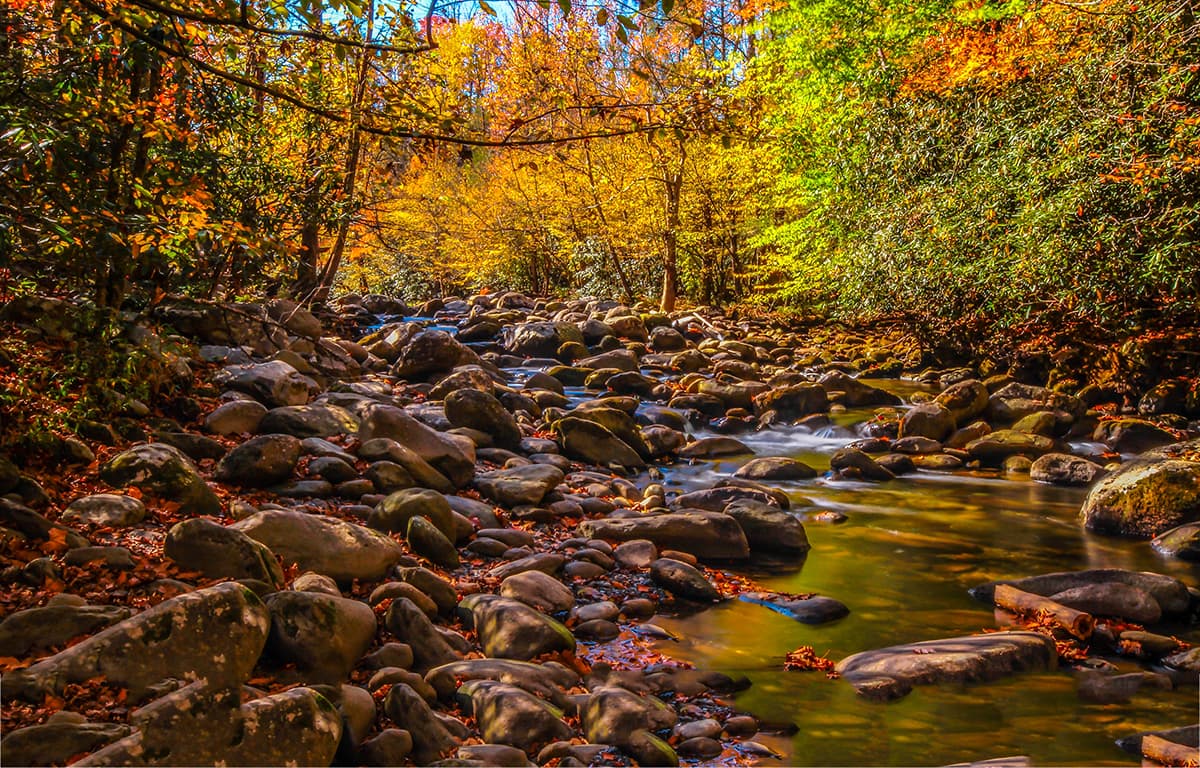 Premium Rocky Stream Nature Wallpaper pattern detail