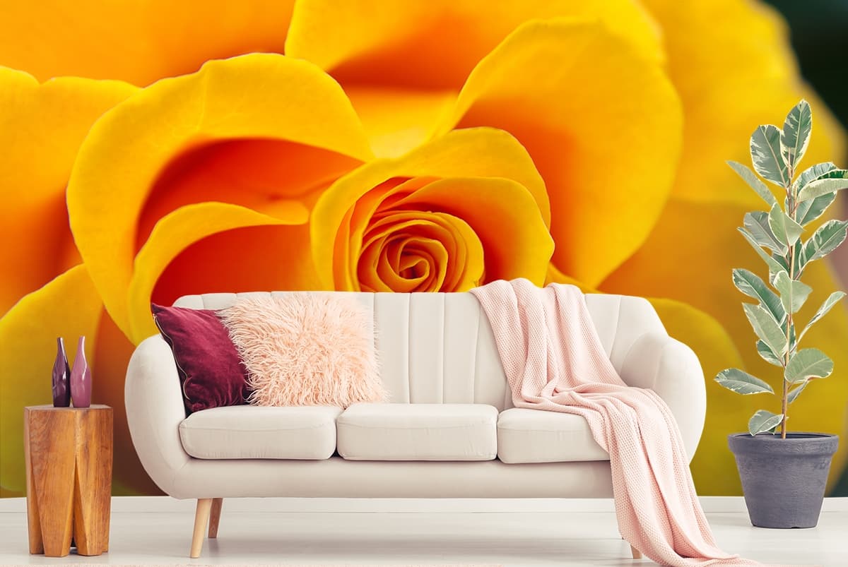 Big Bright Yellow Rose Flower Close Up Wall Wallpaper shown in a room