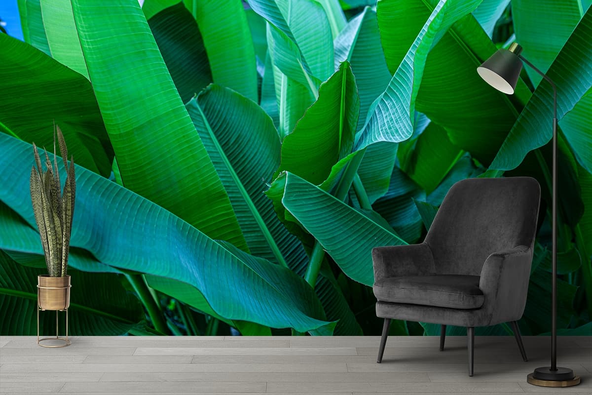 Realistic Banana Leaves Wallpaper Mural shown in a room
