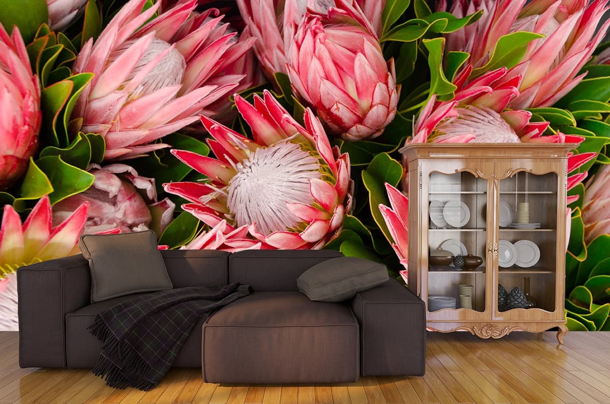 Protea Pink Flowers Wallpaper Mural shown in a room