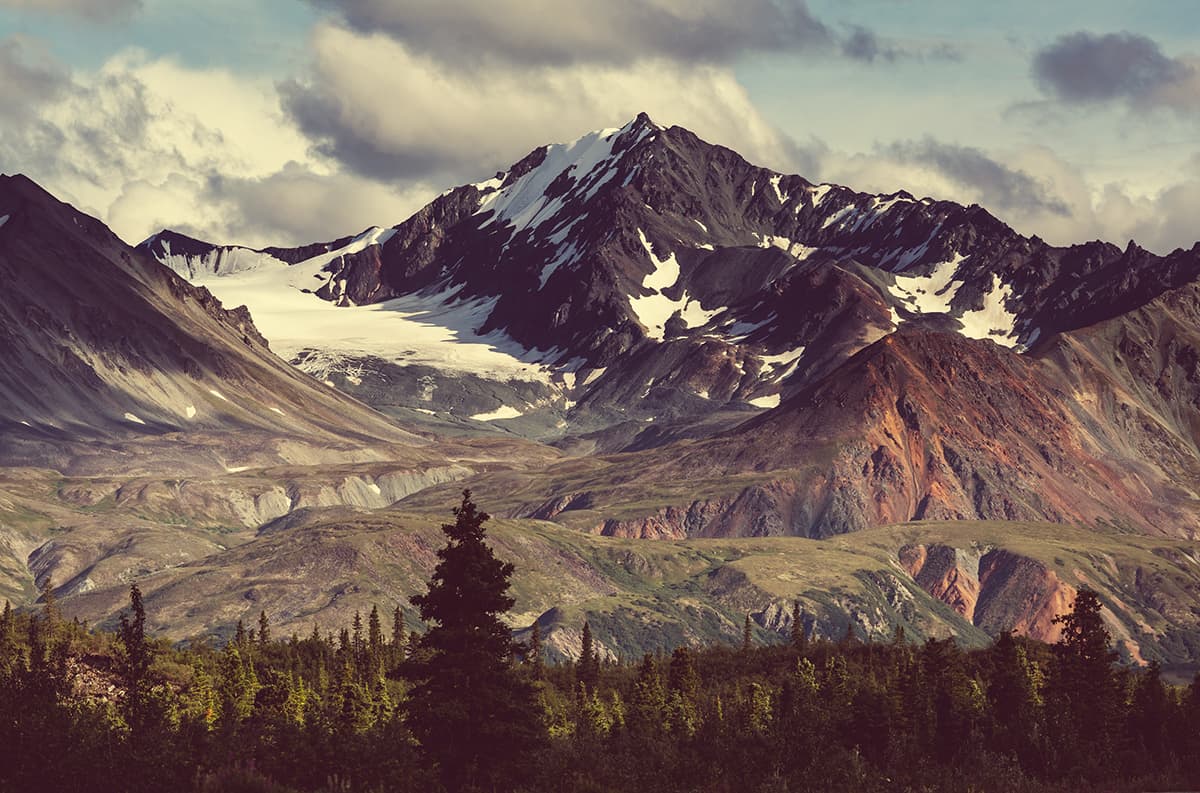 Snowy Mountain Range with Trees Nature Wallpaper pattern detail