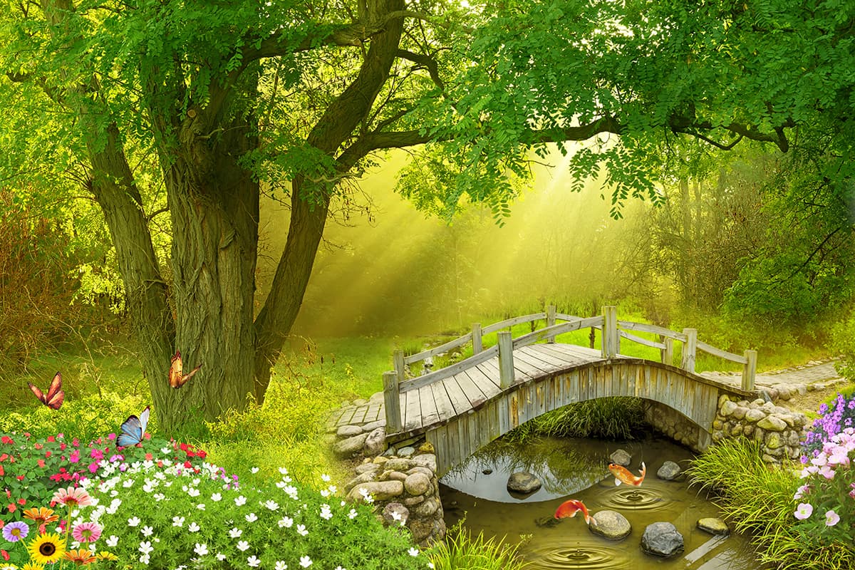 Wooden bridge above clear stream with fish below wallpaper pattern detail