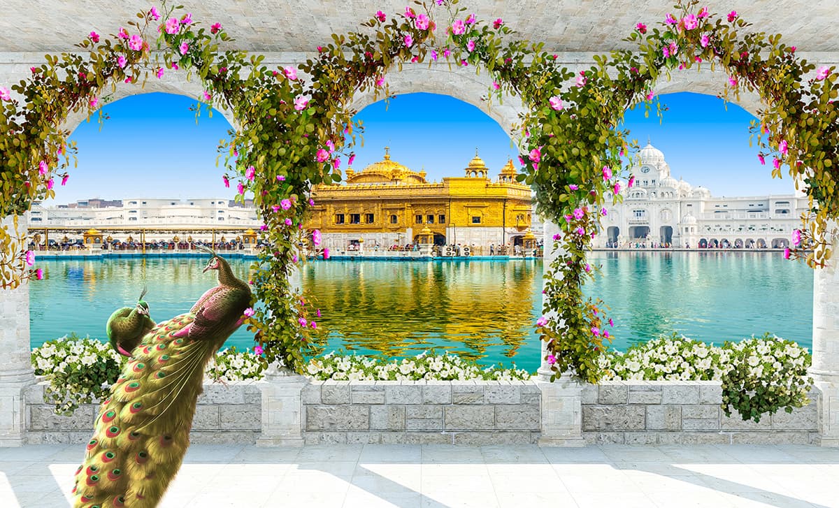 Golden Temple and Peacock Wallpaper pattern detail