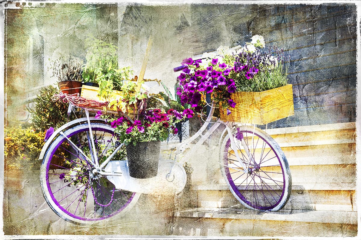 A bicycle with flowers on it pattern detail