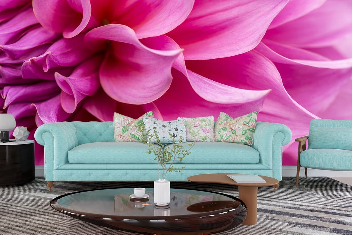 A close up of a pink flower shown in a room